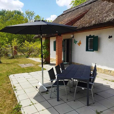 Boroka Tanya Villa Orgovany Екстериор снимка