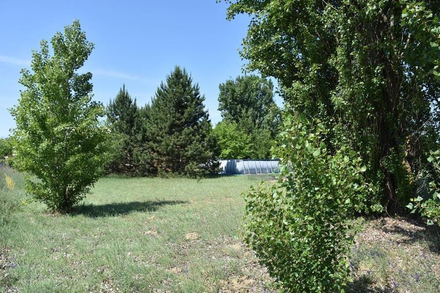 Boroka Tanya Villa Orgovany Екстериор снимка